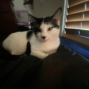 Meet your Posher, Lee